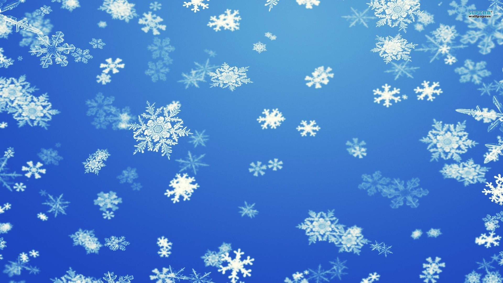 many-snowflakes.jpg