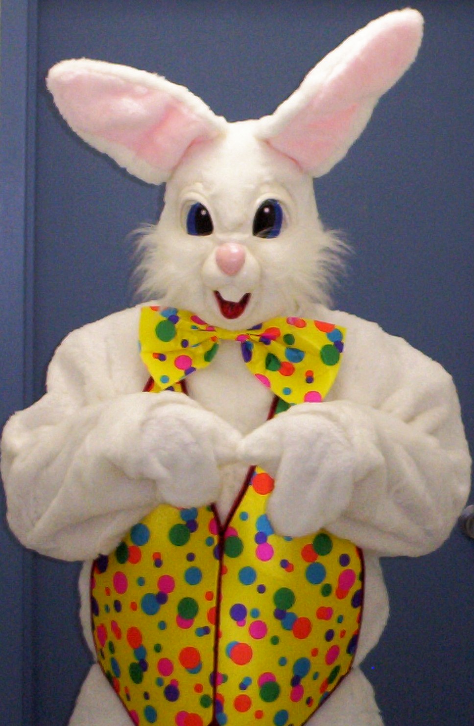 Pictures Of The Easter Bunny 19