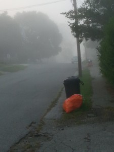 Austin fog 4