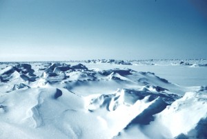 ice age, winter in Maine, freezing, humor, Modern Philosopher