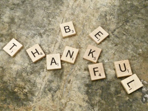 Thanksgiving, gratitude, life, philosophy, humor, Modern Philosopher