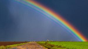 rainbows, be positive, life, humor, Modern Philosopher
